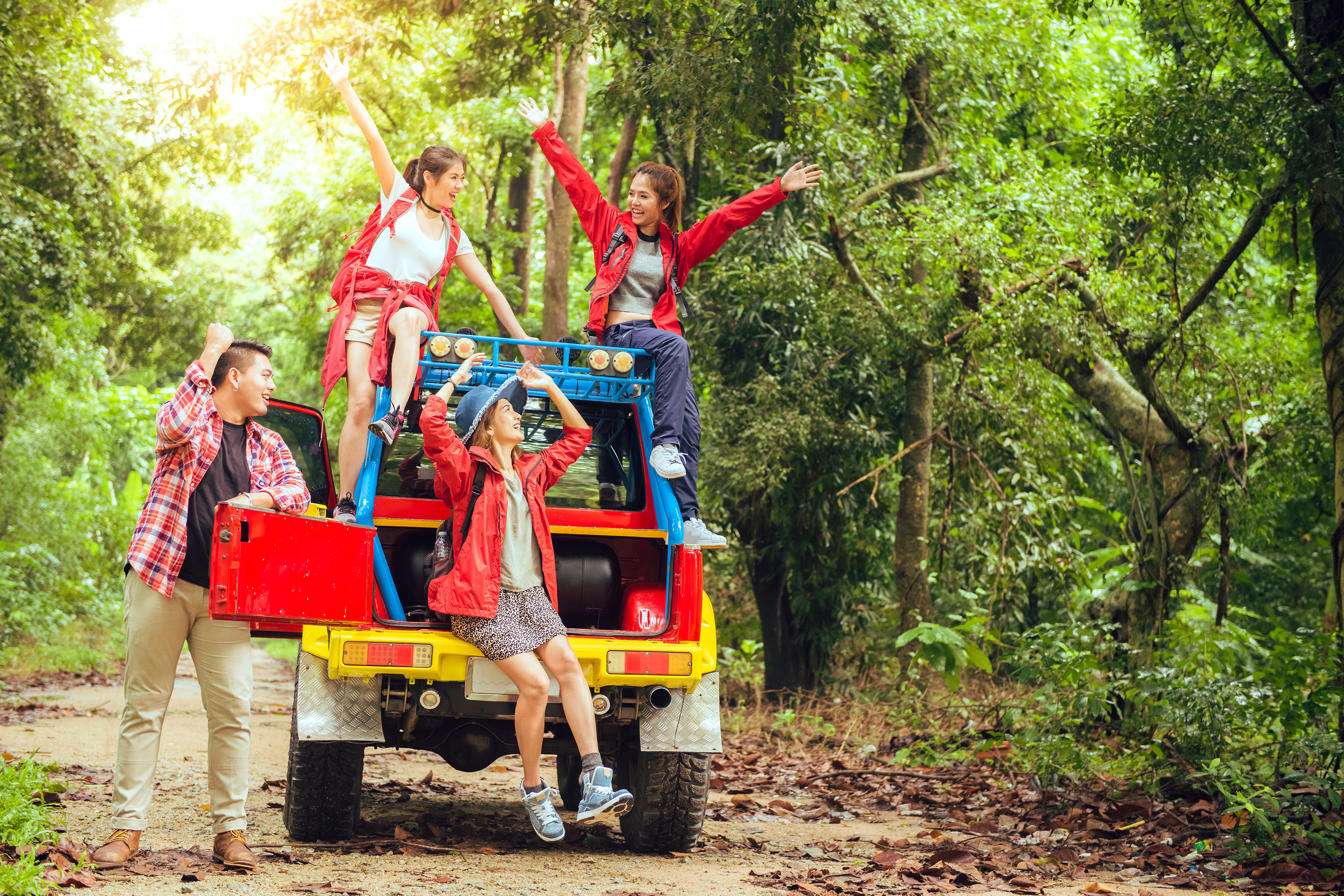 Misty Highlands Adventure